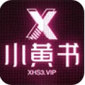 小黄书